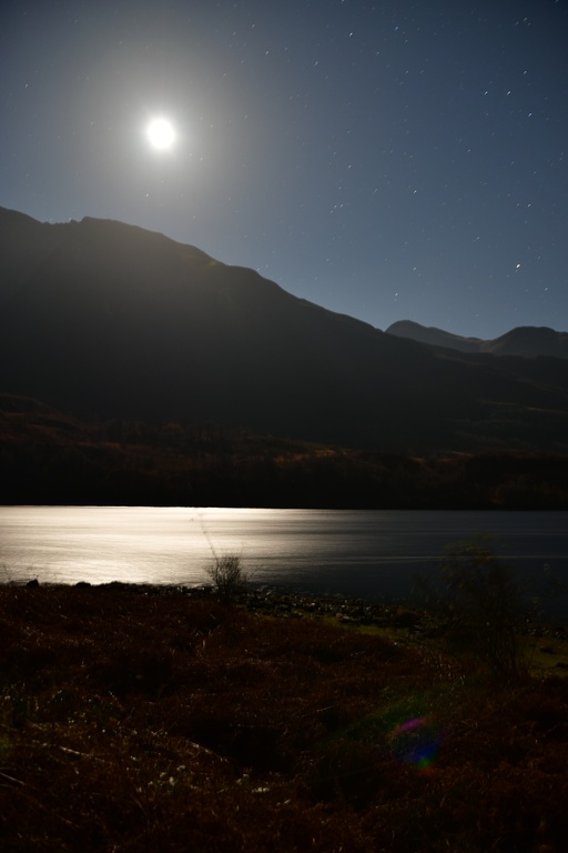 2018-11 Scotland/Misc/DSC_6971.JPG